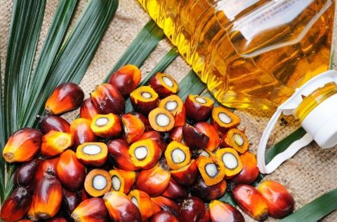 CPO, Kakao & Karet Bebas Tarif ke AS