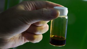 ⛽Ekosistem Biodiesel & Metanol di Indonesia🌴