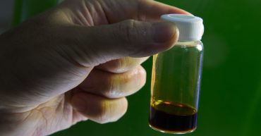 ⛽Ekosistem Biodiesel & Metanol di Indonesia🌴