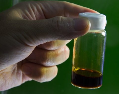 ⛽Ekosistem Biodiesel & Metanol di Indonesia🌴