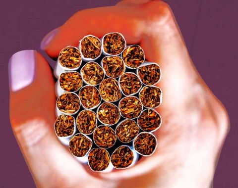🚬 Emiten Rokok Raup Lonjakan Laba Berkat Efisiensi Biaya